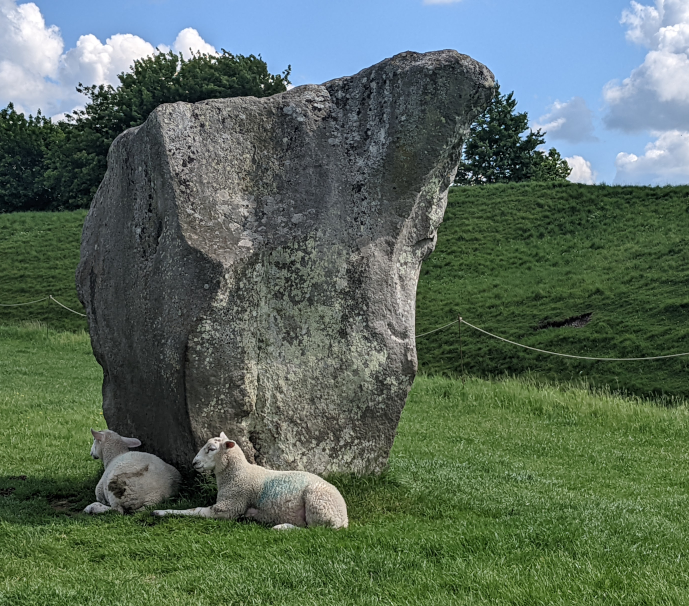 Two sheep resting by a stone at the Avebury stone circle